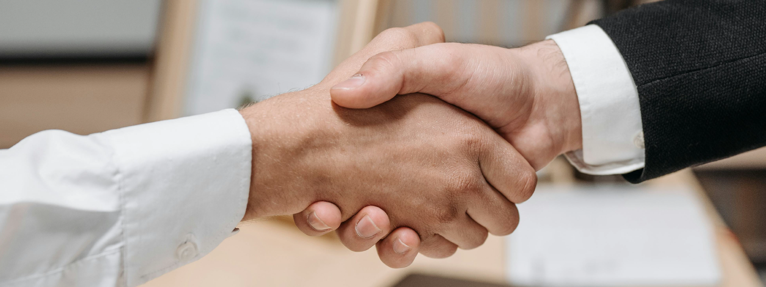 와글펜글_사업분야